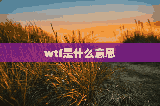 wtf是什么意思(WTF是什么意思网络用语)